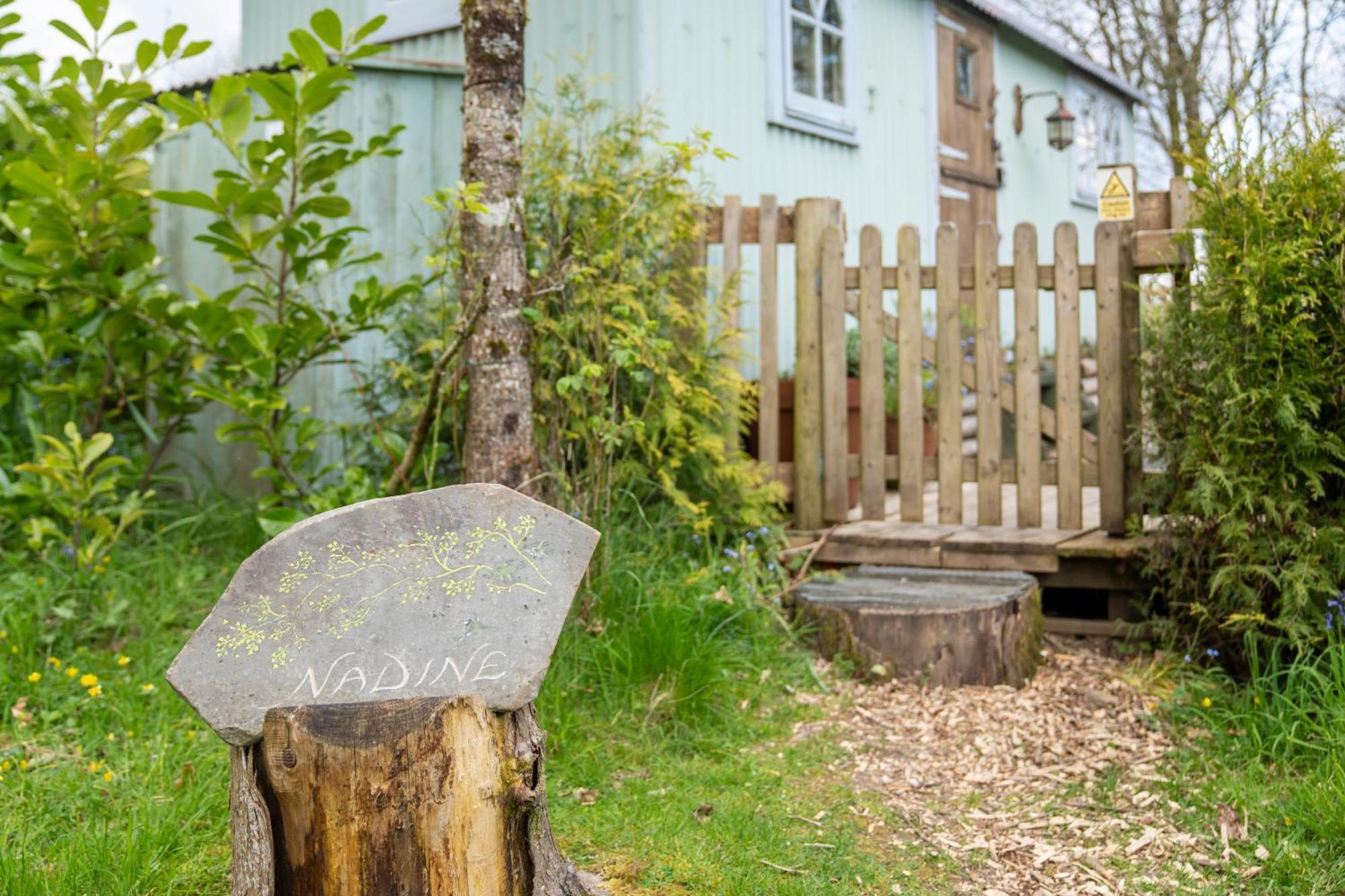Llethrau Forest & Nature Retreats 3*