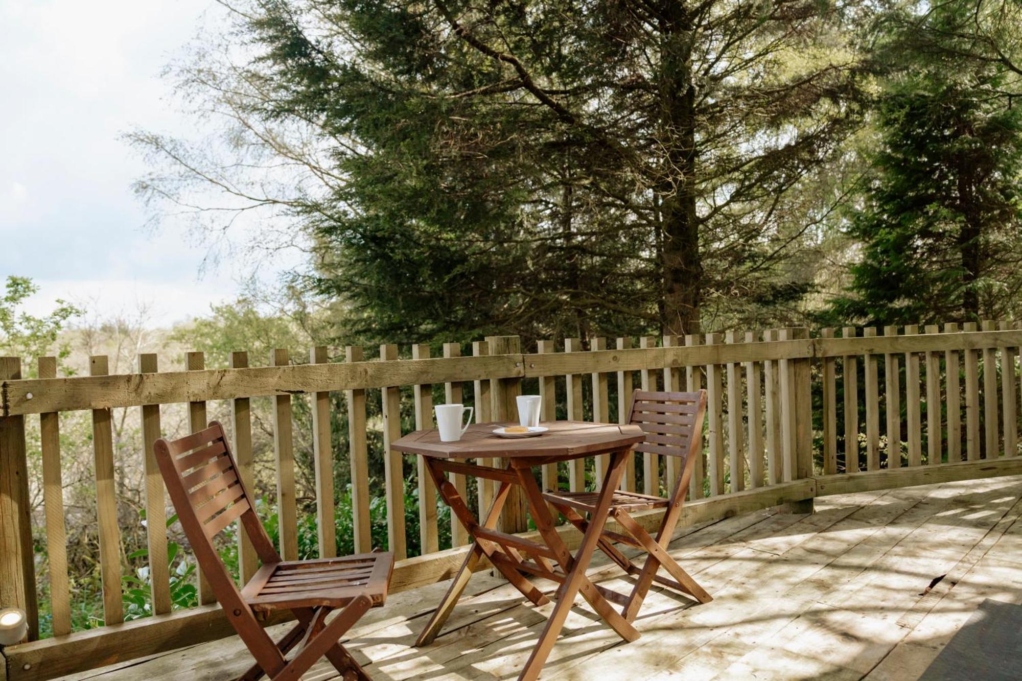 Llethrau Forest & Nature Retreats 3*