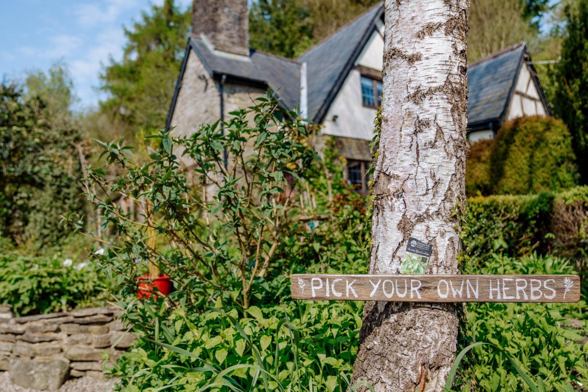 Llethrau Forest & Nature Retreats Кемпинг
